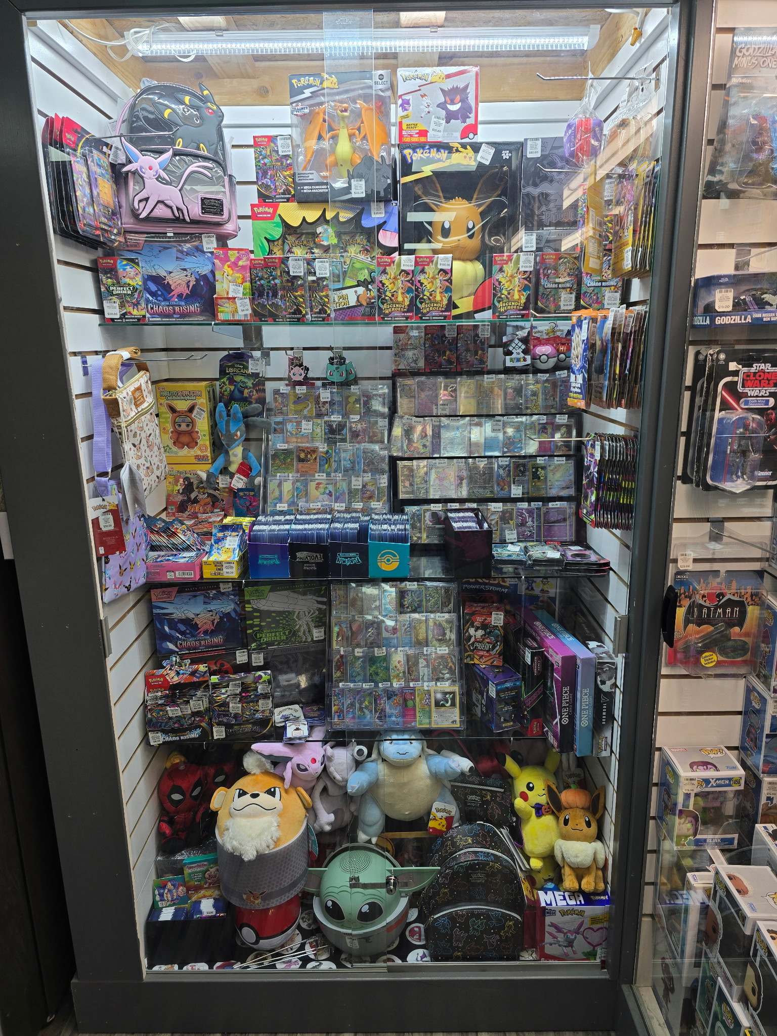 Pokémon cards, sealed products, plush, and collectibles displayed inside Professor Tero Collectibles